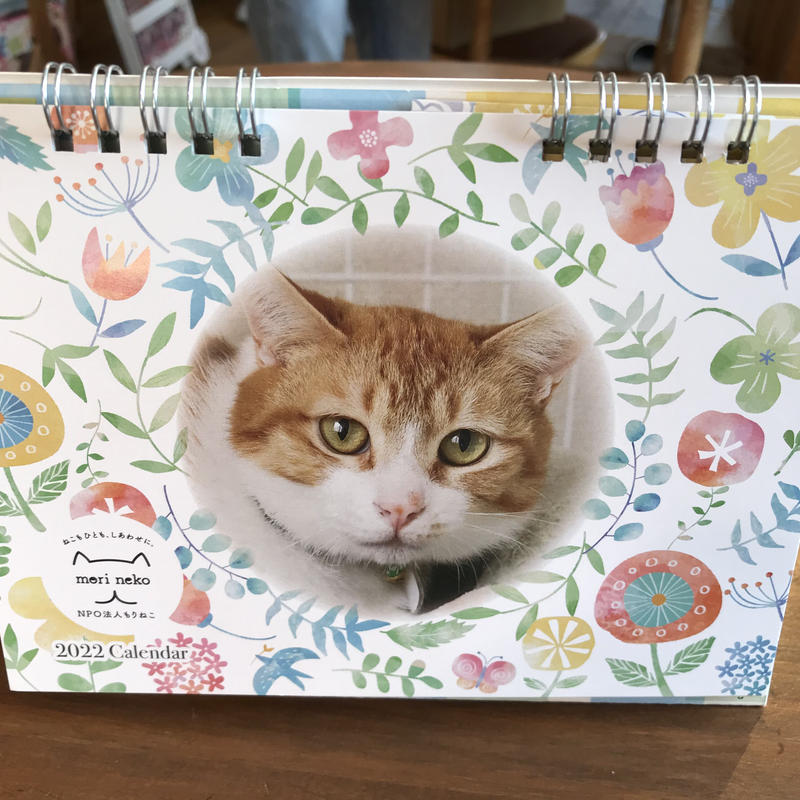 22年もりねこカレンダー 卓上タイプ 保護ねこカフェ もりねこ