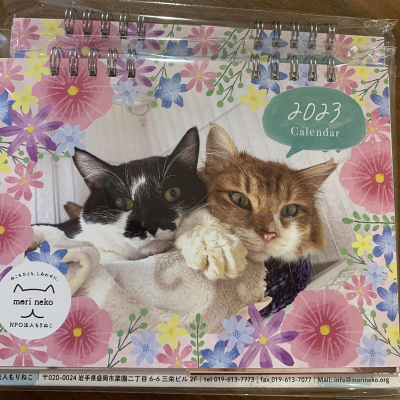 23年もりねこカレンダー 卓上タイプ 保護ねこカフェ もりねこ