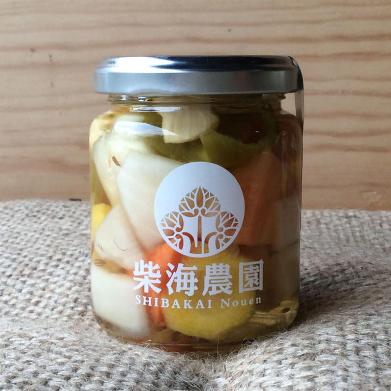 HABA 廃盤瓶入りミックスピクルス　ドイツ　木のおもちゃ HABA 廃盤瓶入りミックスピクルス 木のおもちゃ