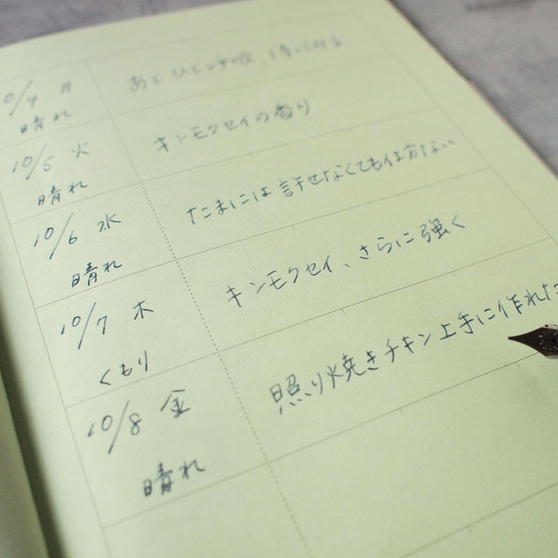 一日一行日記 Une Phrase Par Jour 文具店ムスビメ