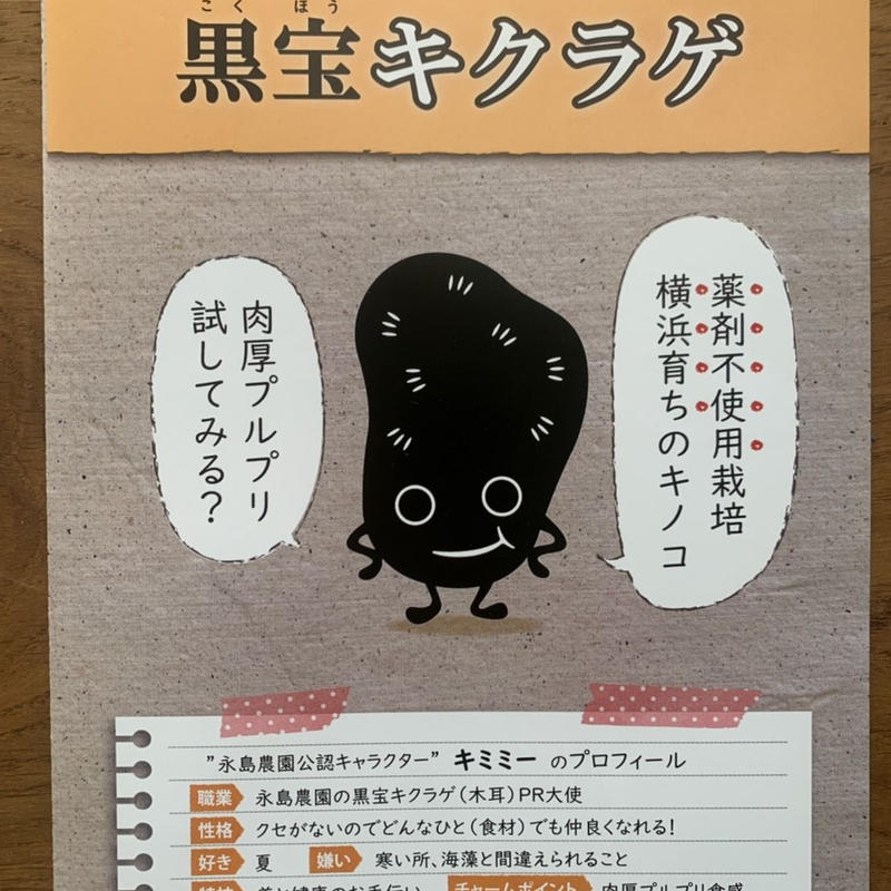 Co オフセット済み おひさま干しキクラゲ50ｇ入り袋 永島農園 Nagashima N