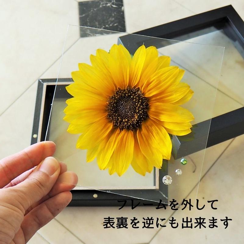名入れ ひまわり プリザーブドフラワー Sunflower ブラックフレーム フラワーギフト