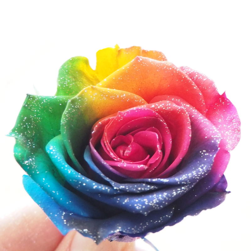 プリザーブドフラワー 花材 レインボーローズ ビビット Mサイズ ラメ入り プリザーブドフ