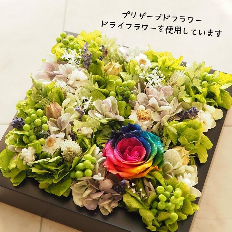 インテリアグリーン プリザーブドフラワーグリーン フレーム レインボー入り 壁掛け 平置き 縦