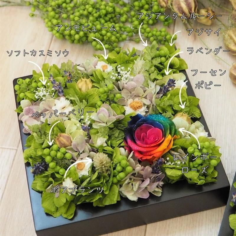 インテリアグリーン プリザーブドフラワーグリーン フレーム レインボー入り 壁掛け 平置き 縦