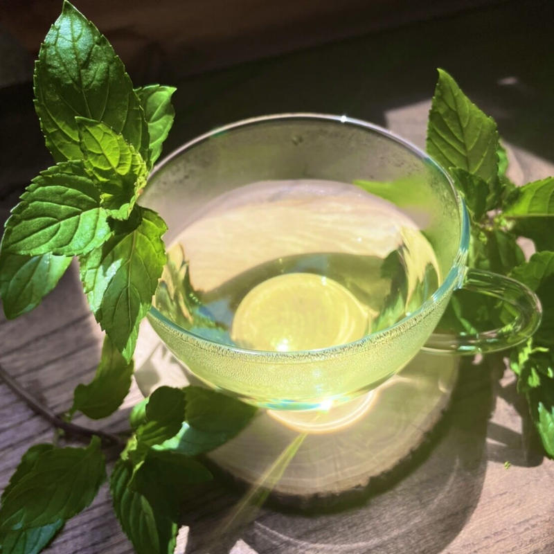 Single ペパーミントハーブティー Homemade Herbal Tea Nanam Single ペパーミントハーブティー Homemade Herbal Tea Nanam