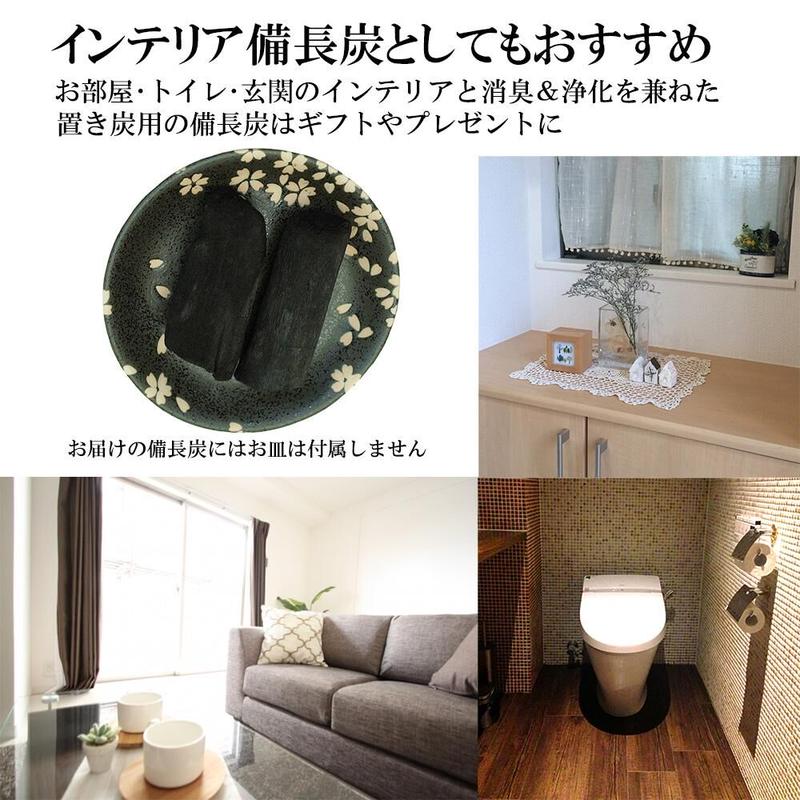 公式 送料無料 備長炭本舗 浄水用 料理人も愛用 ふぞろい備長炭 ２本セット ホテル レスト