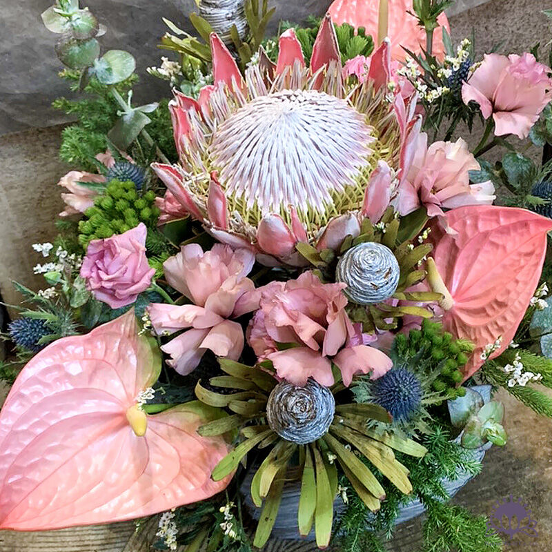 アレンジメント プロテアとアンスリウム ネイティブの花屋