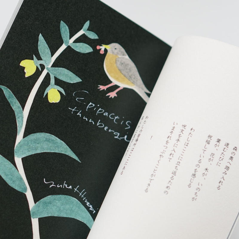 花と言葉 柊有花 ナツメ書店 Sleep Coffee And Roaster Onl
