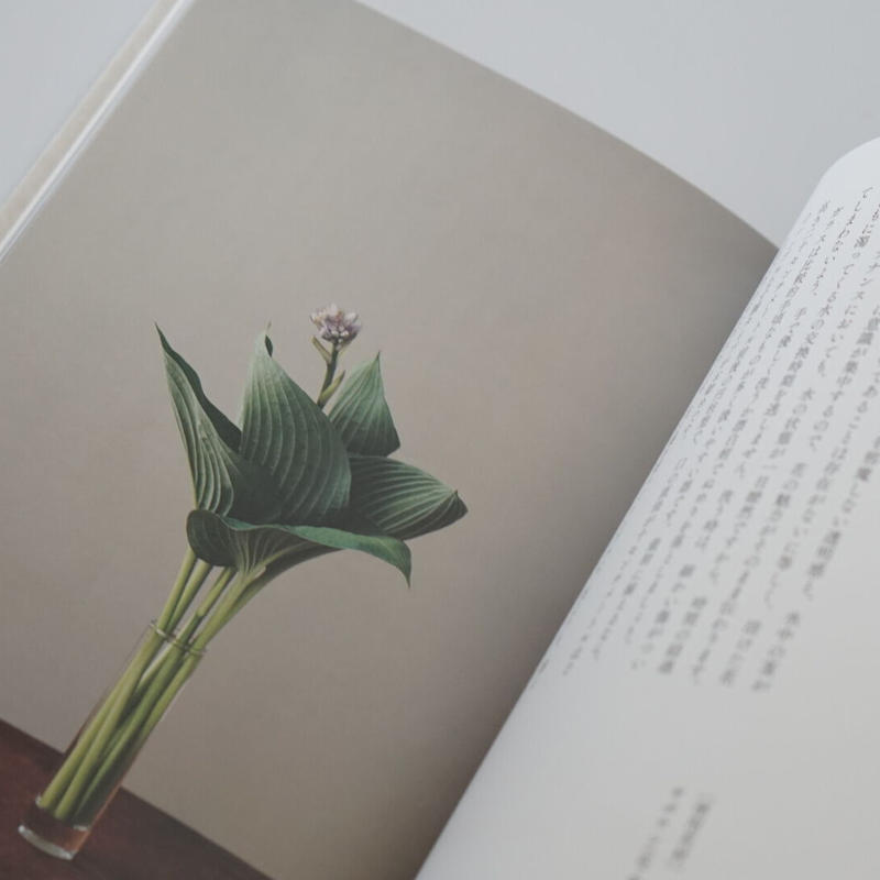 花の本 新井光史 ナツメ書店 Sleep Coffee And Roaster Onl