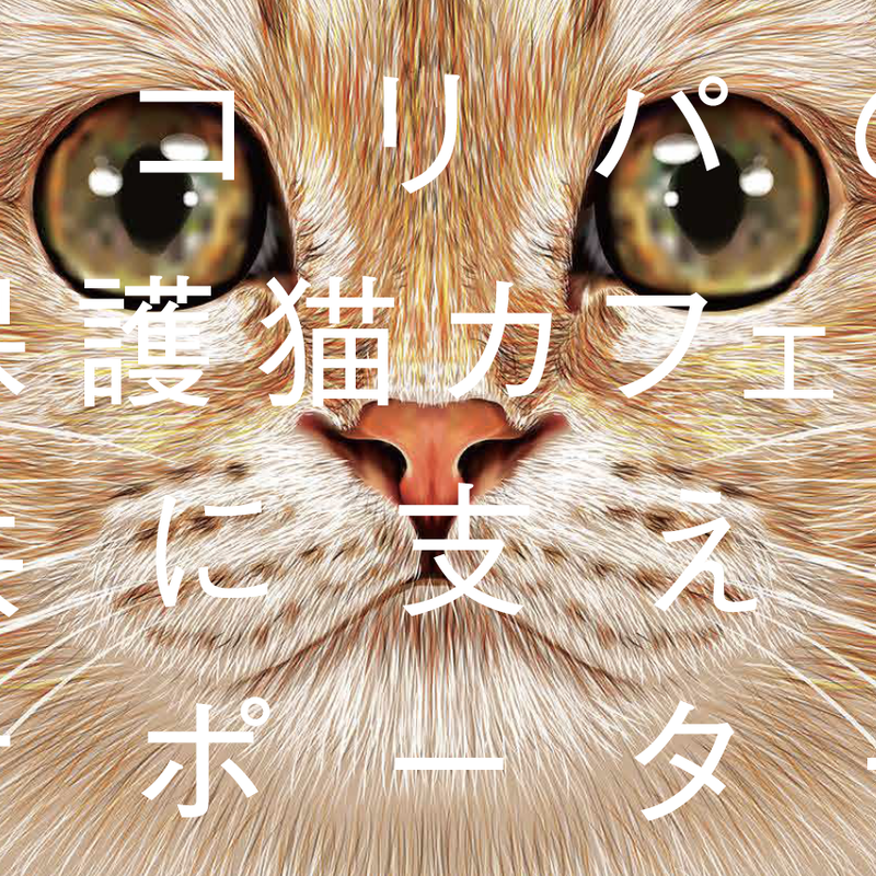 月々2222円からの猫助け ネコリパファンクラブ 2222円 にゃんにゃんにゃんにゃん N 月々2222円からの猫助け ネコリパファンクラブ 2222円 にゃんにゃんにゃんにゃん N