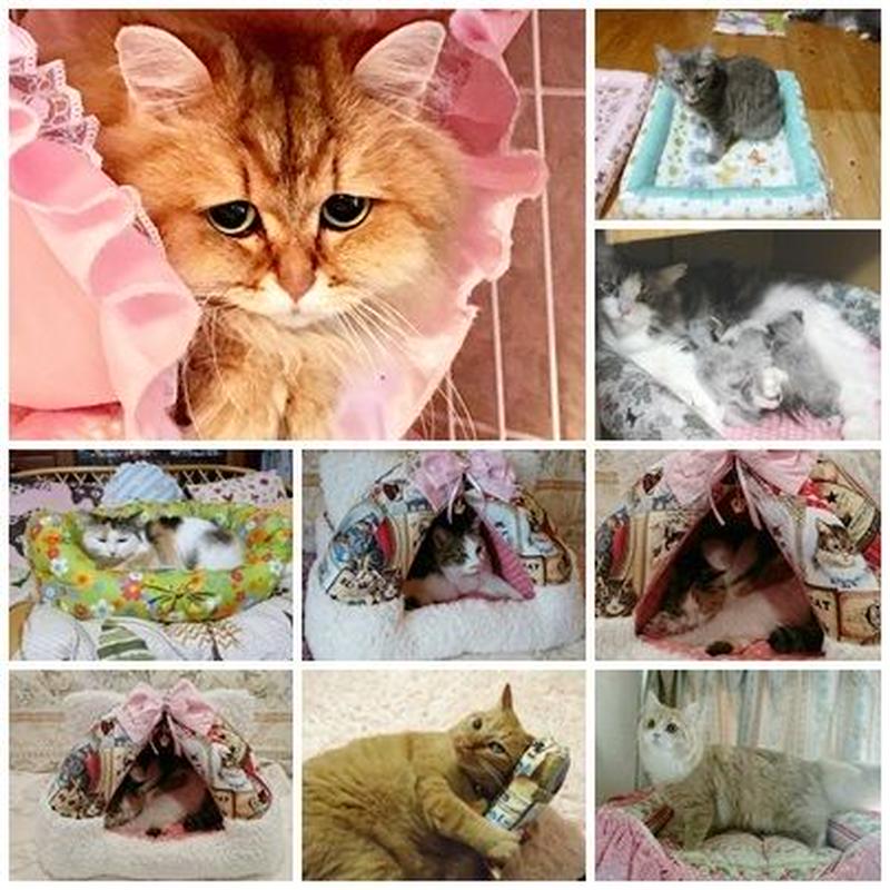 ねこ館の Top Models達 Part6 ねこ館