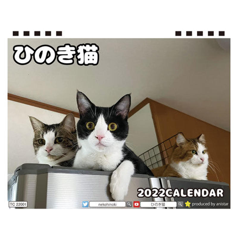 卓上カレンダー壁掛けカレンダー 猫 3点 手数料無料 3点