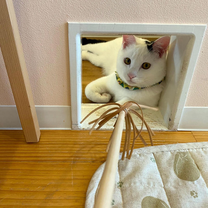 山猫本舗 牛革猫じゃらしミニ 猫カフェ 猫の屋おでん