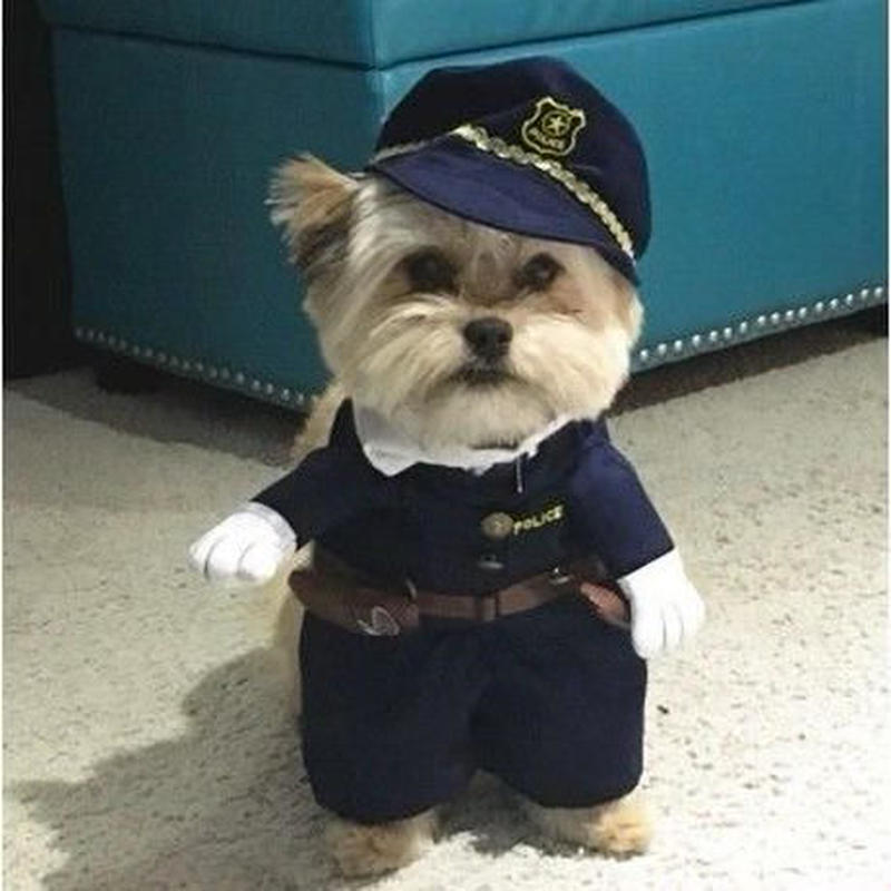 Idepet 小さな犬の服 おもしろ犬の衣装 ヨークズチワワなどの服 Triple Yea