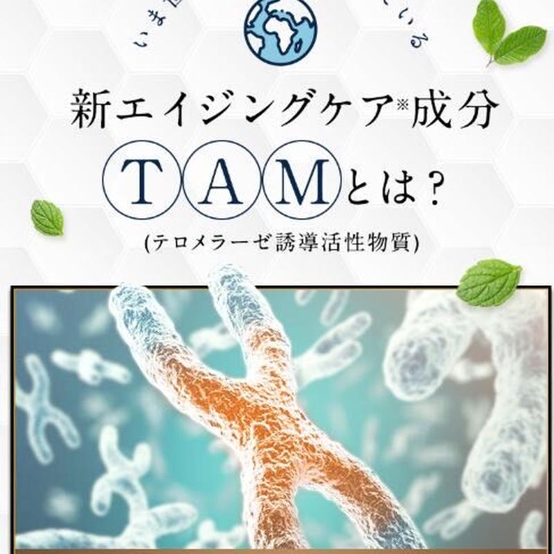 TAM 818配合　ロイヤルリッチテロメアスプレー10本セット TAM818配合 ロイヤルリッチテロメアスプレー10本セット