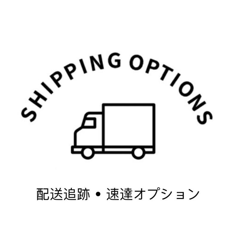 速達 追跡オプション N O C C U S E L E C T