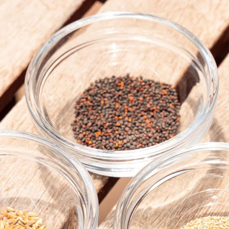 白花かすみ草コンペントガーデン 送料込 種セット 6g ギフト 花さんぽ