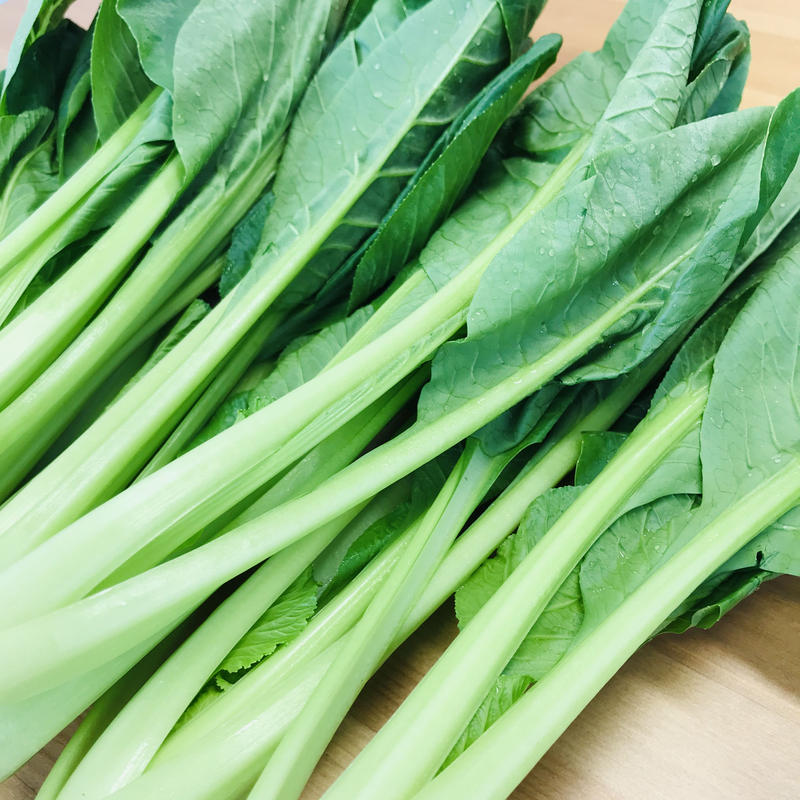 小松菜 1束 ひらの農園 西船橋 船橋野菜