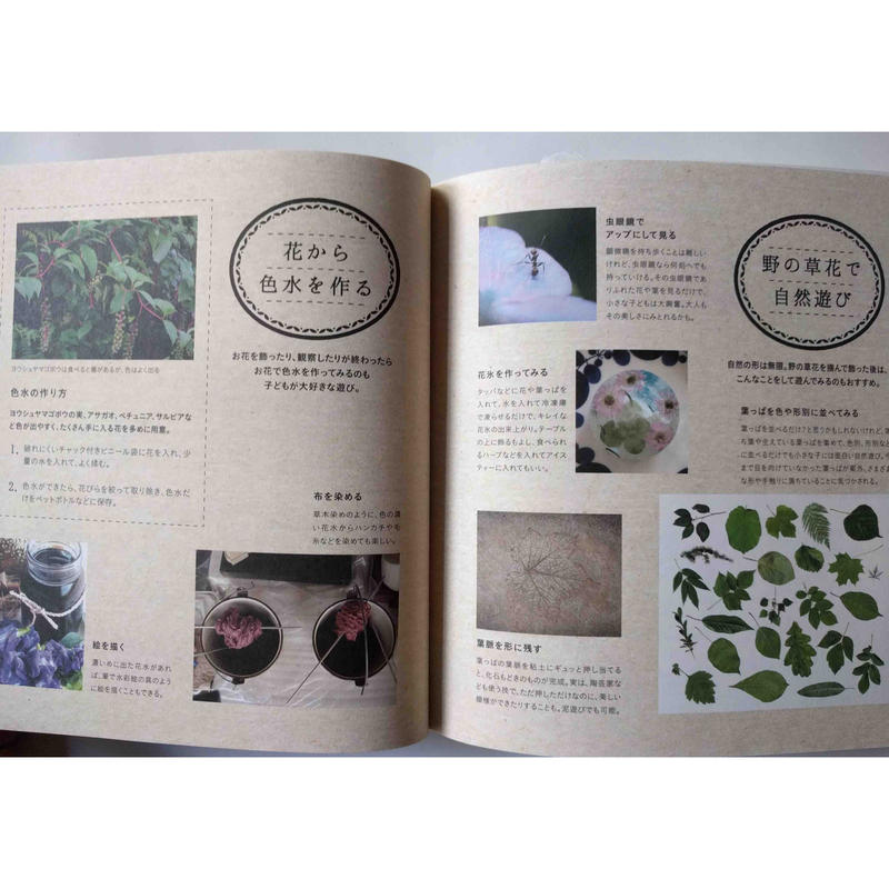 道草の名前 毒生物の名前 Nowaki