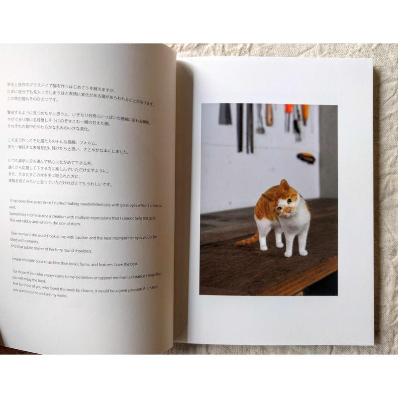 Felt Cats Nekolabo Works 猫ラボ Nowaki