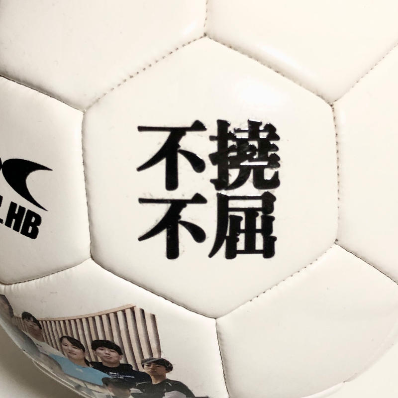 メッセージボール1パネル分 ホワイト Real Handball