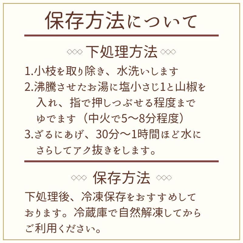 期間限定 青山椒 約0g 青森県産 22年産 送料無料 生山椒 実山椒 薬味 新物 期間限定 青山椒 約0g 青森県産 22年産 送料無料 生山椒 実山椒 薬味 新物