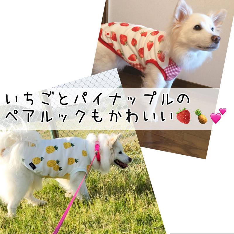 いちご柄 ワンちゃんタンクトップ 中型犬服 おはりこ店 いちご柄 ワンちゃんタンクトップ 中型犬服 おはりこ店