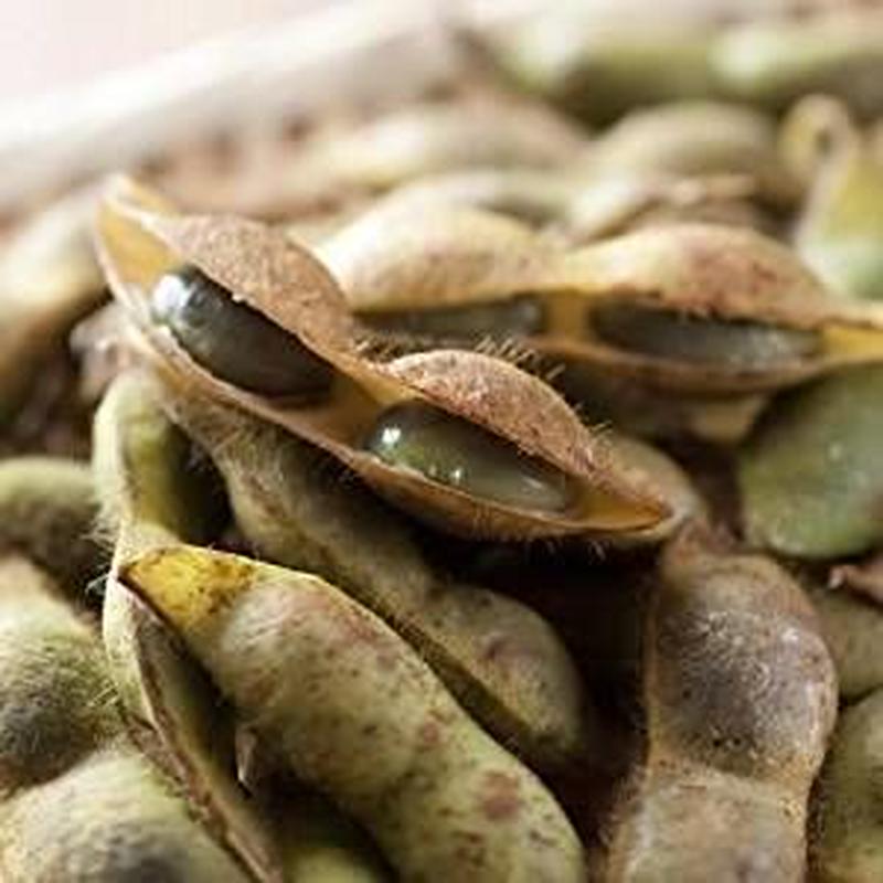 10月限定 丹波たぶち農場黒枝豆1kg さやのみ 篠山市認定販売所 兵庫の産地より