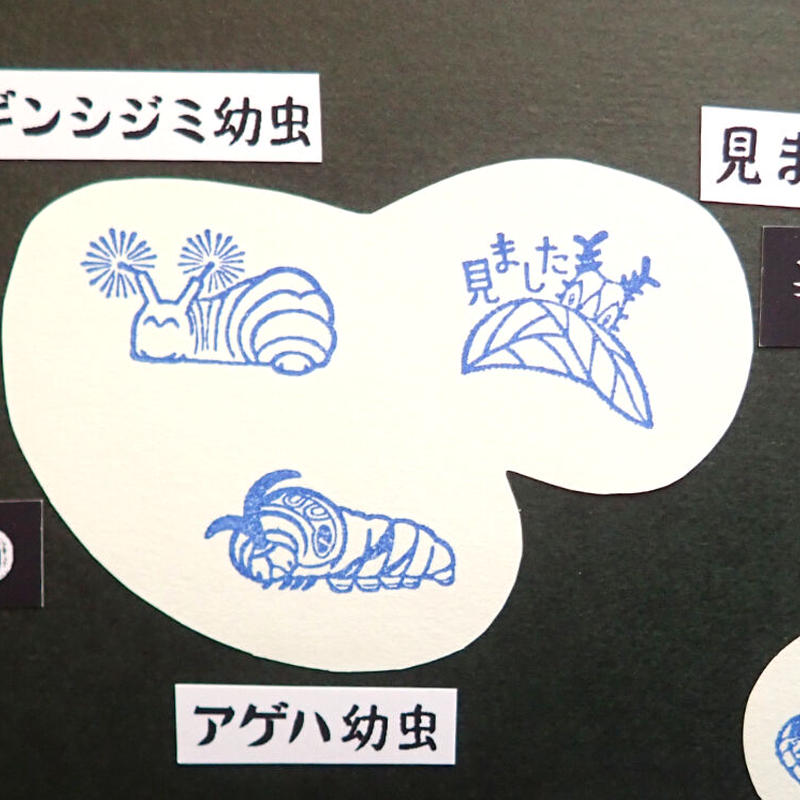 オオムラサキ幼虫 見ました ショートスタンプ お拾いもの
