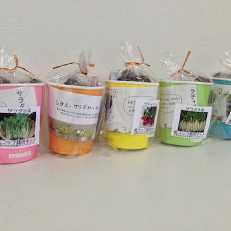 野菜栽培キット 送料込 食育体験型農業 おいしい村 ストア