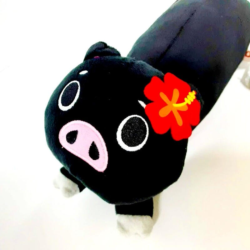 ぬいぐるみ 動物 アグー ブーブー 豚が鳴く 沖縄限定 Okinawaマリンブルー