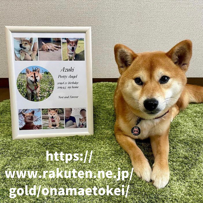 ペット 思い出ギフト A４デザイン時計 送料無料 Onamaetokei