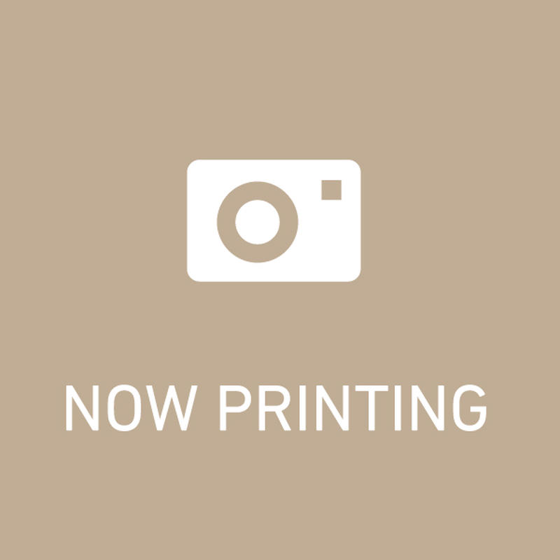 ディファイアー トレジャー ランド 音盤本舗