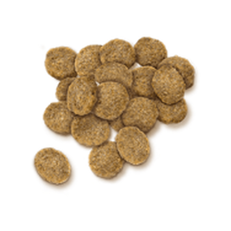 セレクトバランス スリム チキン 小粒 成犬の体重管理用7kg ペットグッズモールonedo