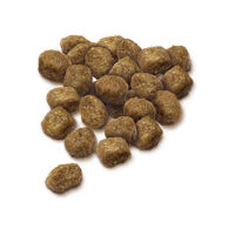 セレクトバランス パピーチキン 小粒 子犬 母犬用 3kg ペットグッズモールonedo