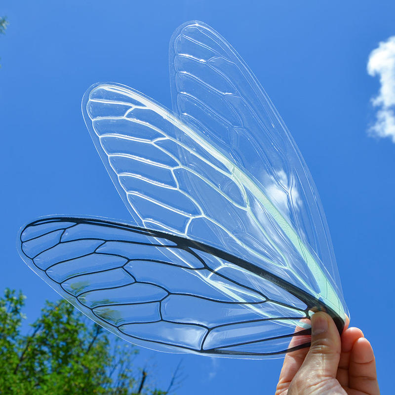 せみうちわ 羽化 Cicada Fan Eclosion Oodesign Store