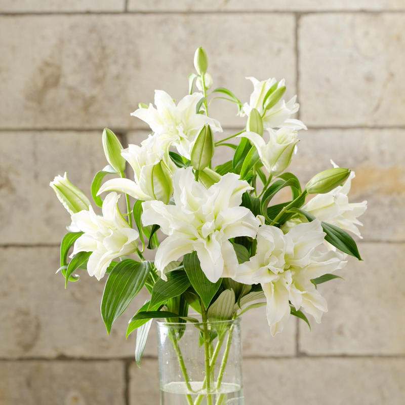 八重ユリのbouquet 5本 ラッピング付き 贈答箱付き 月曜着不可 2月9 八重ユリのbouquet 5本 ラッピング付き 贈答箱付き 月曜着不可 2月9