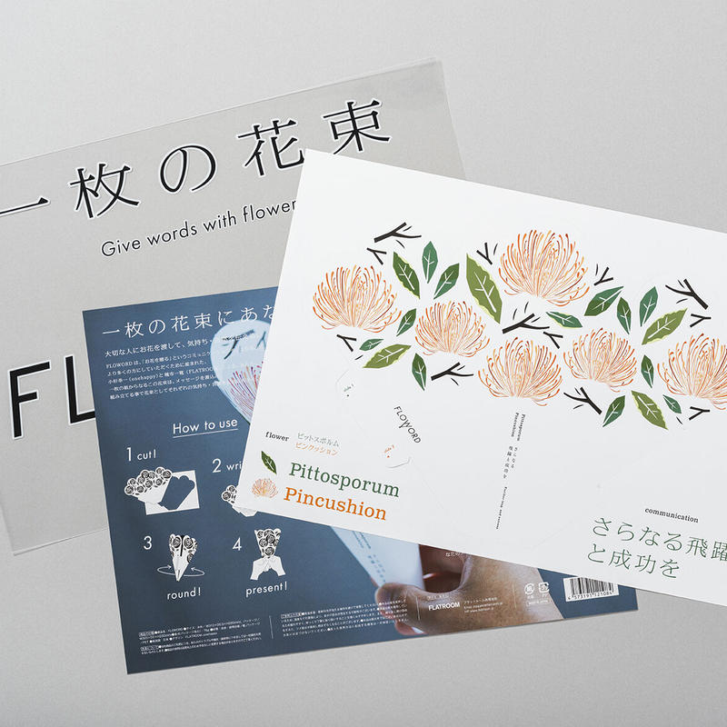 Pittosporm ピットスポルム Pincushion ピンクッション Flo