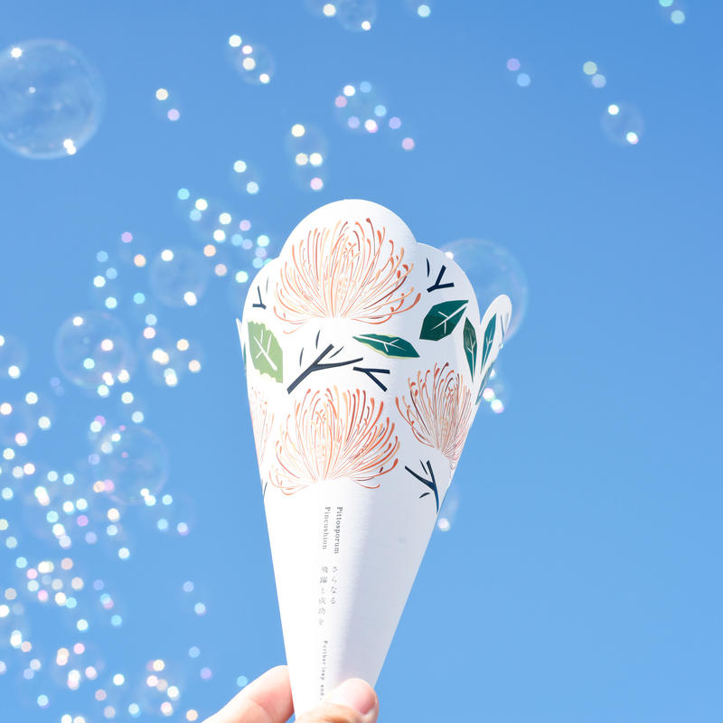 Pittosporm ピットスポルム Pincushion ピンクッション Flo