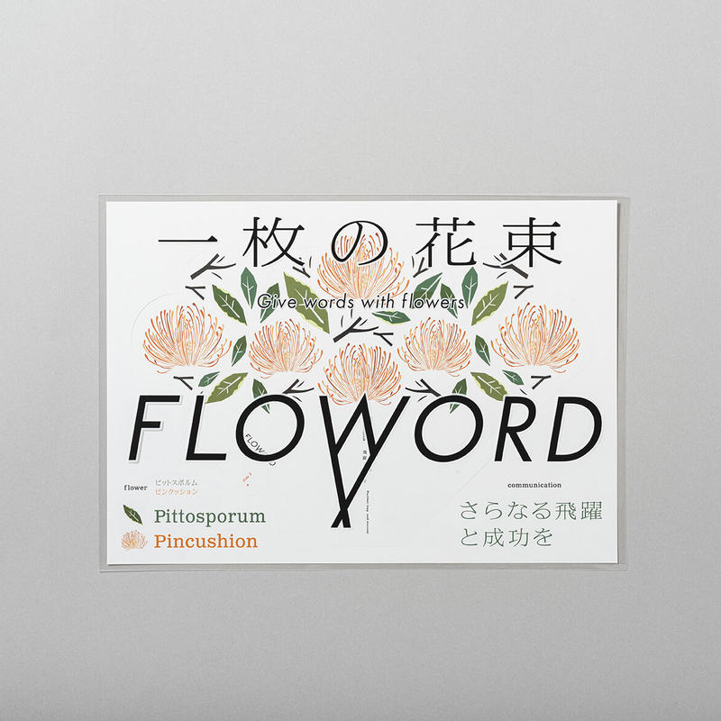 Pittosporm ピットスポルム Pincushion ピンクッション Flo