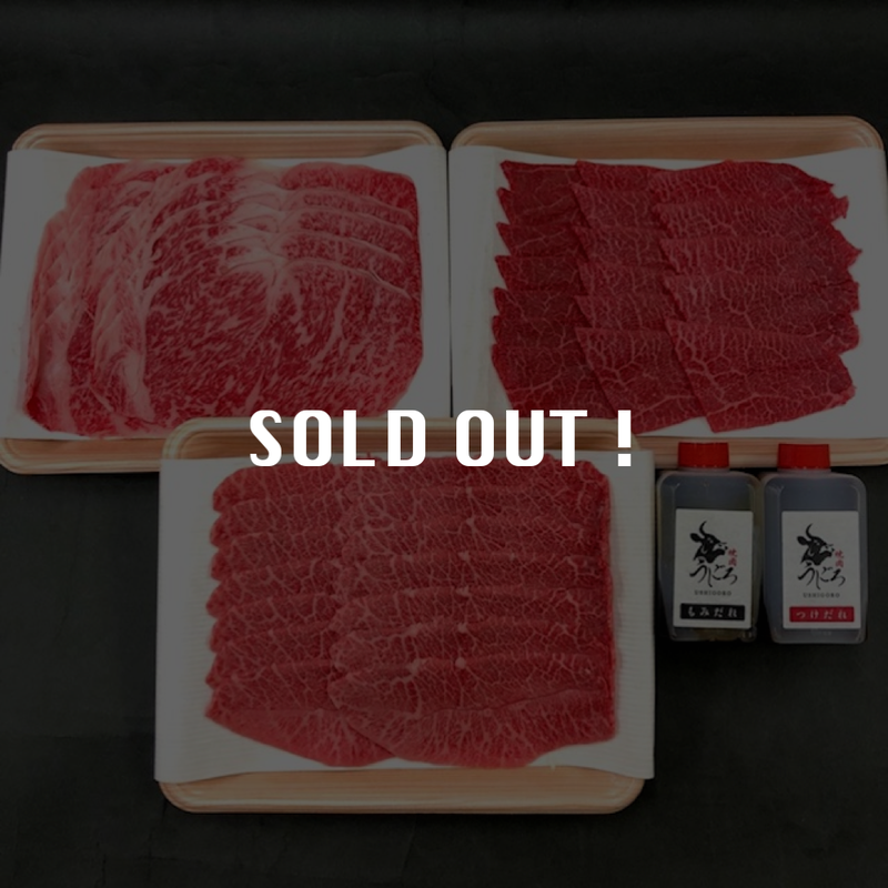 うしごろ 焼肉セット サーロイン ミスジ おうちで和牛