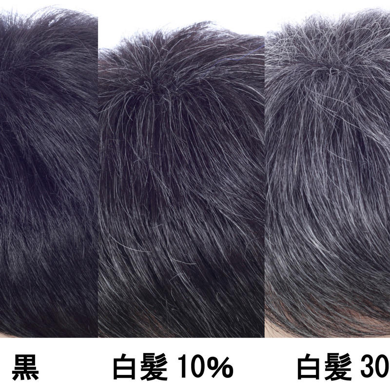スタンダードスタイル 左分け目 ちらほら白髪交じり Peluca