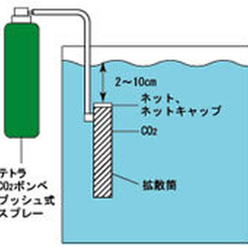 テトラ Co2 キット ｐｅｔ ｂｏｘ オンラインストア