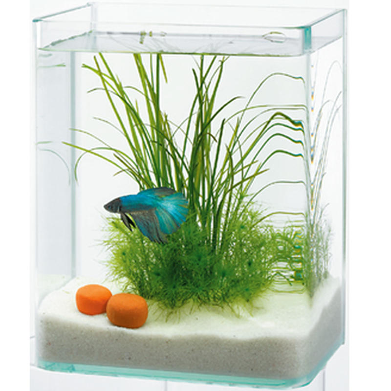 水作 ベタ ストーン ｐｅｔ ｂｏｘ オンラインストア