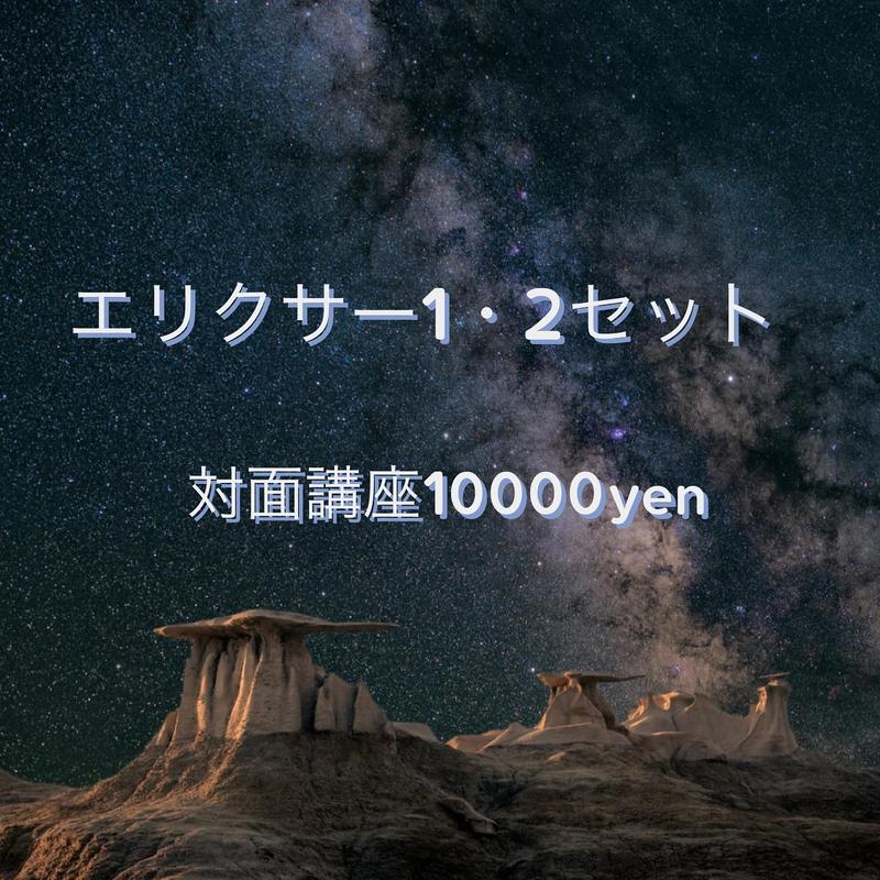 エリクサー1 2セット 対面講座 P F Nic Nacks