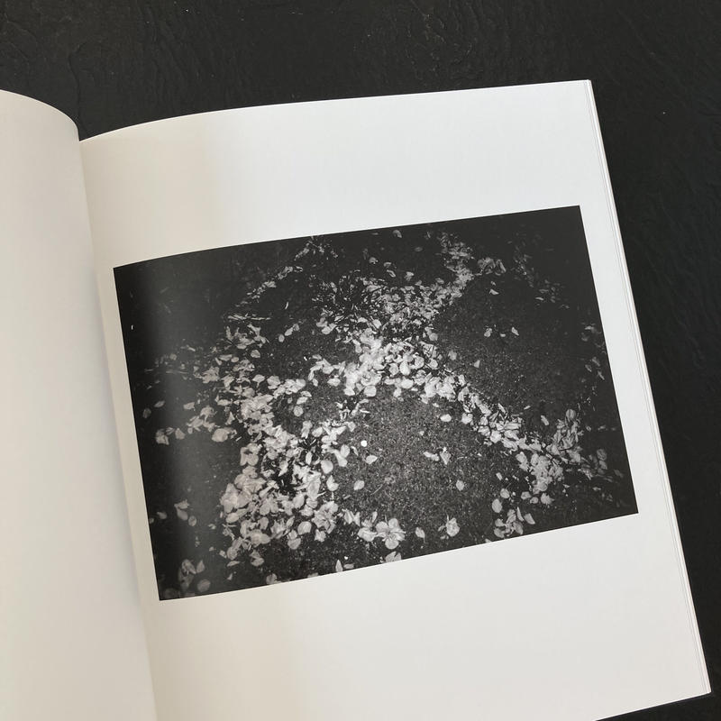 Signed For Tomorrow 蓮井元彦 Motohiko Hasui Poe