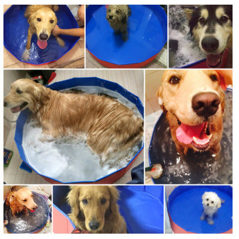 犬プール ペット用 猫 子供用にも 折りたたみ式 お風呂 バスタブ 水遊び 水浴び 夏 持