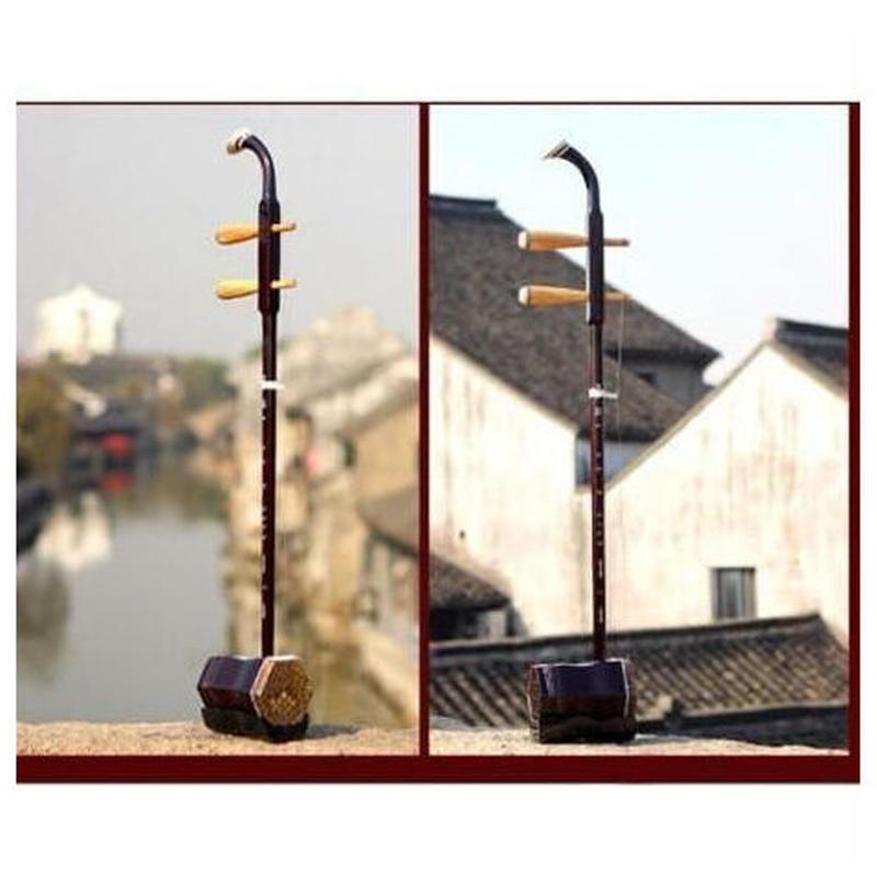 二胡 本体 楽器 初心者セット 弦 弓 中国