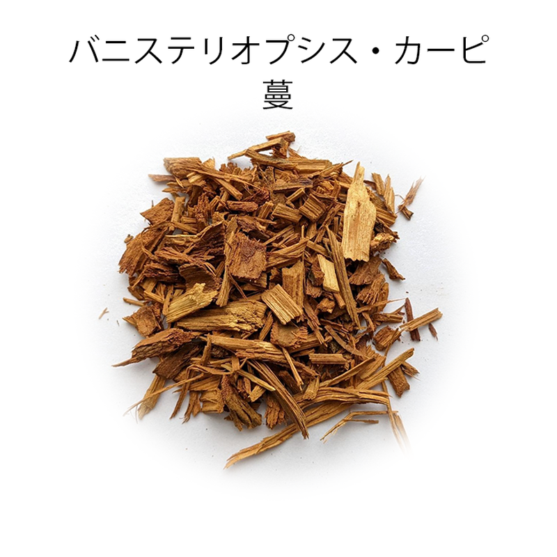 アカシア・コンフサ 根皮 100g